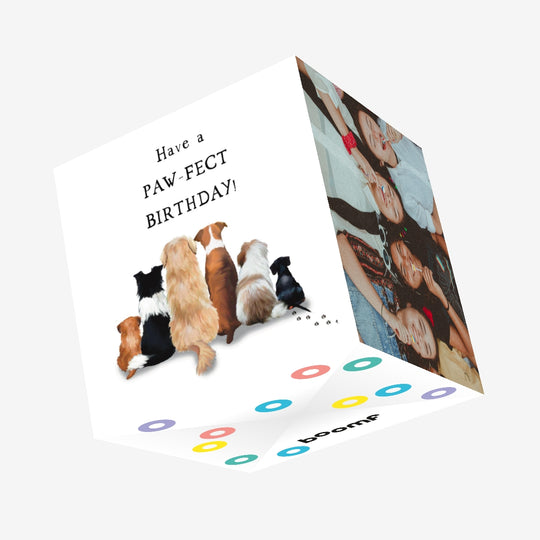 Have A Pawfect Birthday Confetti-exploding Greetings Card