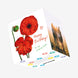 Beautiful Red Poppies Happy 21st Birthday Sister Confetti-exploding Greetings Card