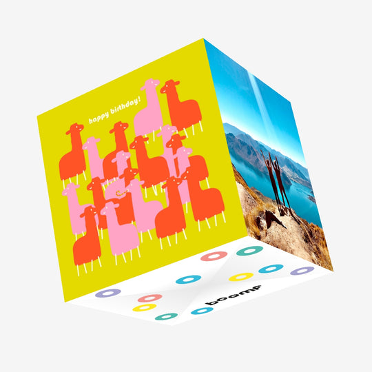 Red And Pink Llamas On A Yellow Background Happy Birthday Confetti-exploding Greetings Card