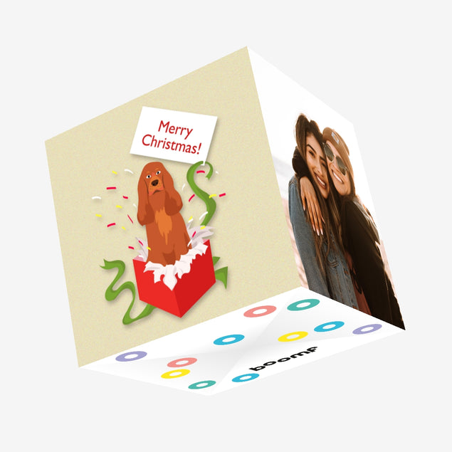 Merry Christmas Cocker Spaniel In A Gift Box Confetti-exploding Greetings Card