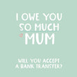 I owe you so much funny Mum birthday card - 1