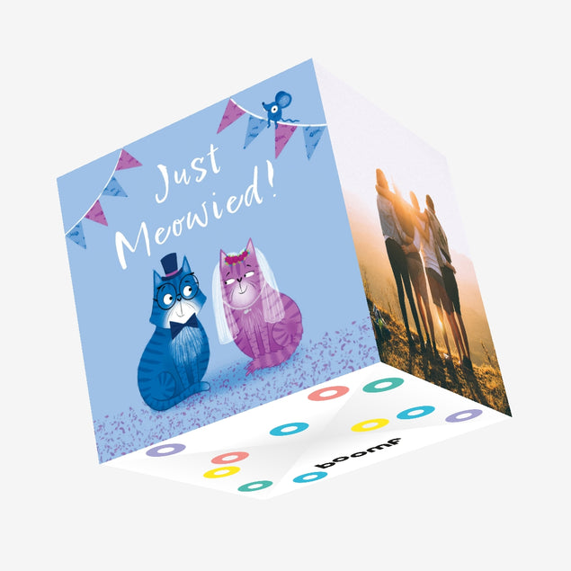 Just Meowied Cute Cat Couple Wedding Confetti-exploding Greetings Card