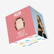 Mum Sending Hedgehugs Mother’s Day Confetti-exploding Greetings Card