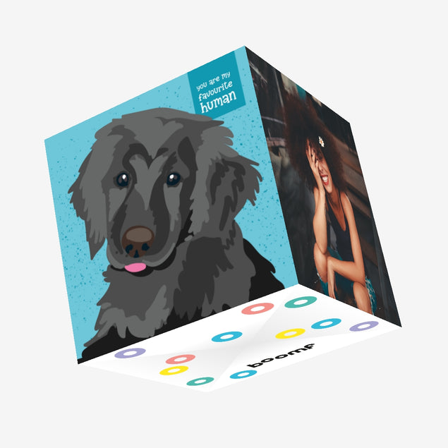 Black Labrador On A Blue Background You're My Favourite Human Confetti-exploding Greetings Card