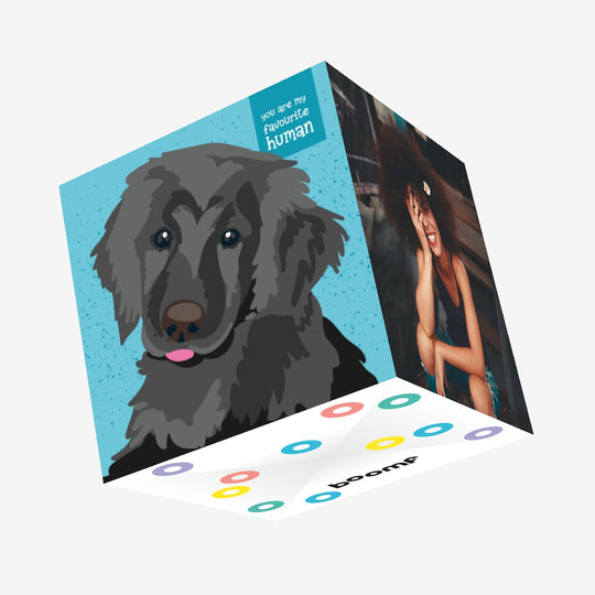 Black Labrador On A Blue Background You're My Favourite Human Confetti-exploding Greetings Card