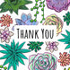 Succulents Thank You Card