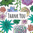 Thank You Succulents  - 1