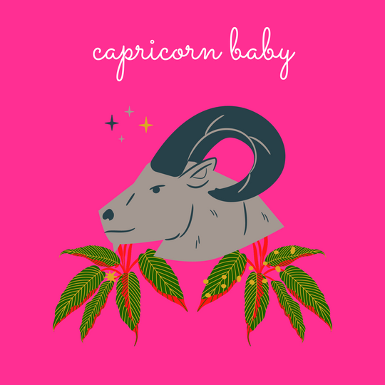 Capricorn Baby Birthday Card