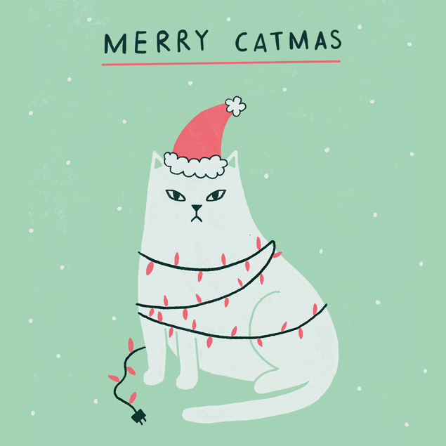 CATMAS - 1
