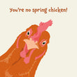 you're no spring chicken - 1