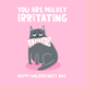 Grumpy Cat Mildly Irritating Valentine's Day Card