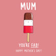 Mother’s Day Card - Mum you’re fab  - 1
