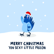 Funny Sexy Pigeon Christmas Card - 1