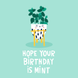 Cute Mint Plant Birthday Card