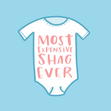 Funny New Baby Pregnancy Card - Most Expensive Shag Ever! - 1