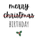 Funny Mistletoe December Merry Birthday Card