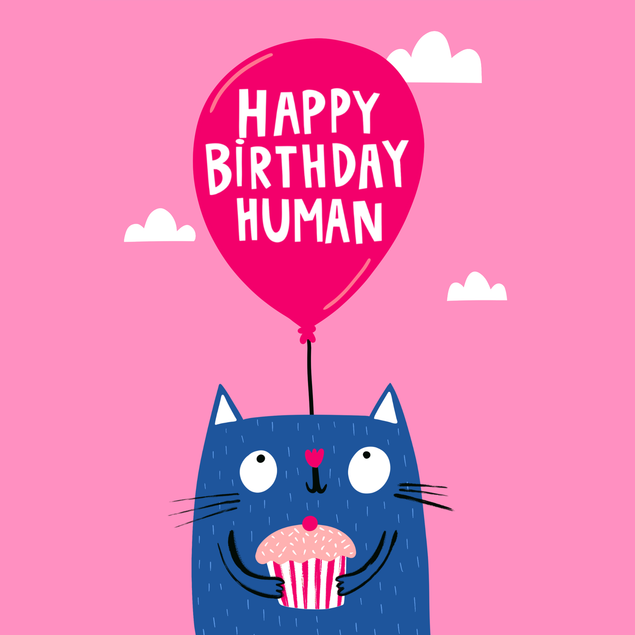Happy Birthday Human Cat Birthday Card - 1