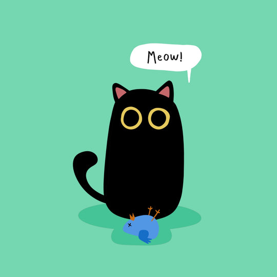 Black Cat And Bird Birthday Card