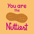 You Are The Nuttiest  - 1