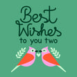 Love Birds Green Best Wishes Card  - 1