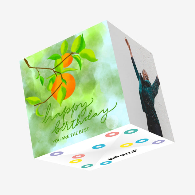 Oranges On A Branch Happy Birthday You're The Best Confetti-exploding Greetings Card