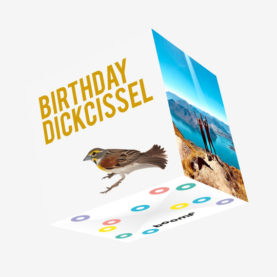Rude Bird Birthday Dickcissel Confetti-exploding Greetings Card