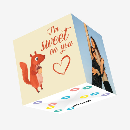 I'm Sweet On You Cute Squirrel Valentine's Day Confetti-exploding Greetings Card