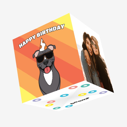 Cool Staffordshire Bull Terrier Dog Birthday Confetti-exploding Greetings Card