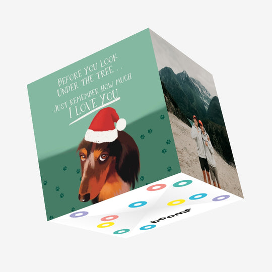 Naughty Rough Collie Christmas Confetti-exploding Greetings Card