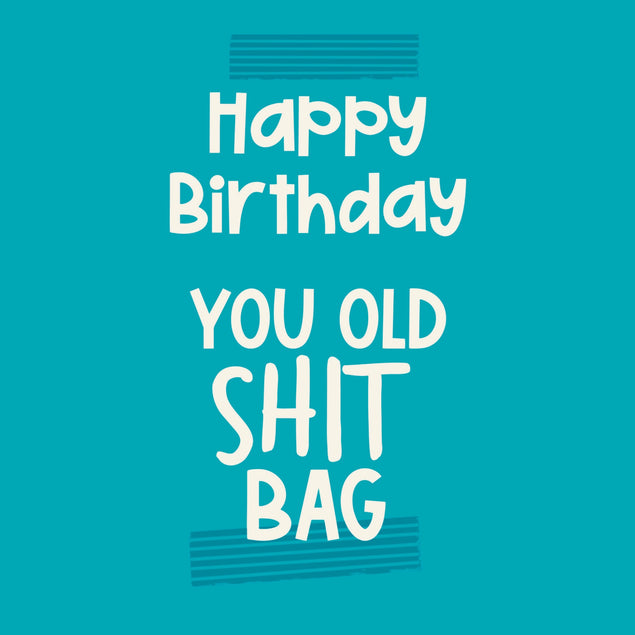 Happy birthday you old shitbag card - 1