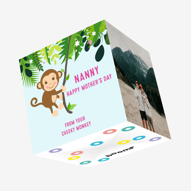Nanny Happy Mothers Day Confetti-exploding Greetings Card