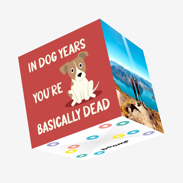 In Dog Years You're Basically Dead Jack Russel Confetti-exploding Greetings Card