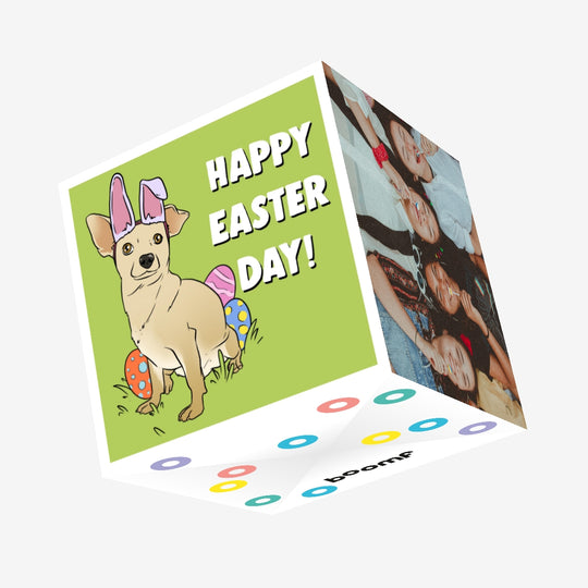 Little Dog Wearing Bunny Ears Easter Confetti-exploding Greetings Card