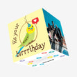 It's Your Birrrrrthday Budgie Confetti-exploding Greetings Card