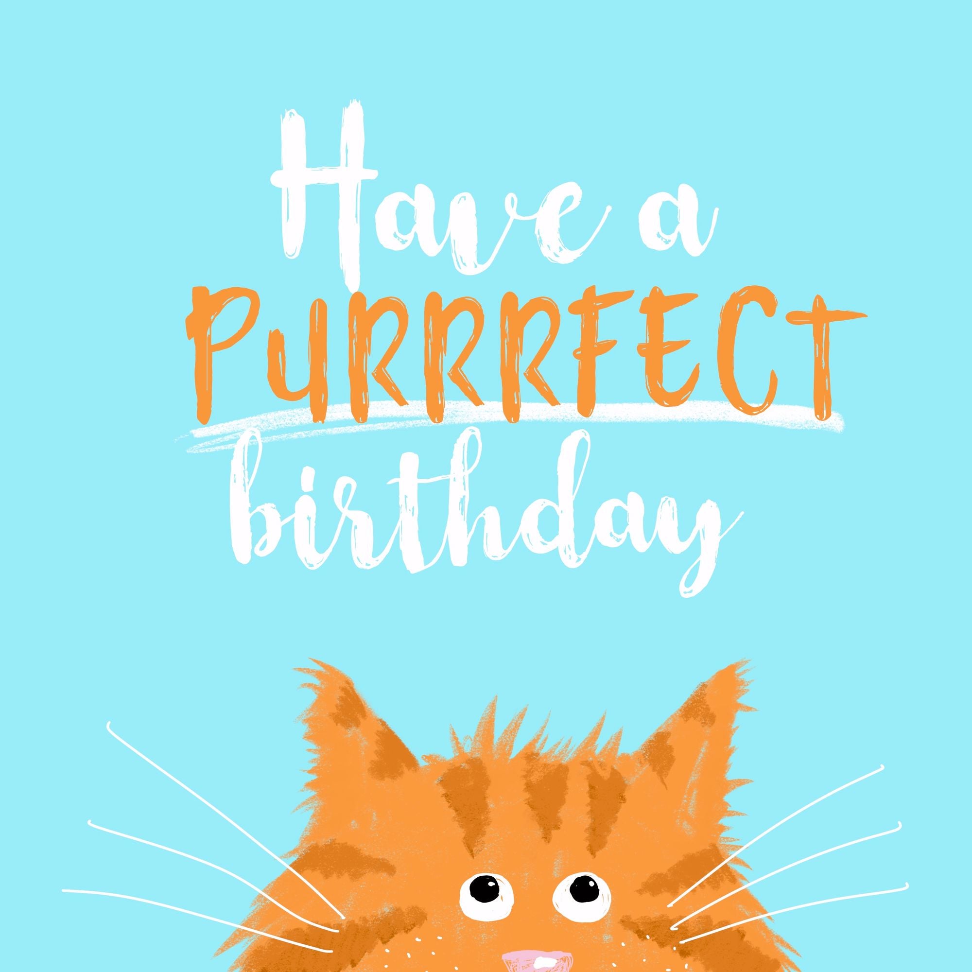 Have A Purrrfect Birthday Card 3D Cube Card – Boomf