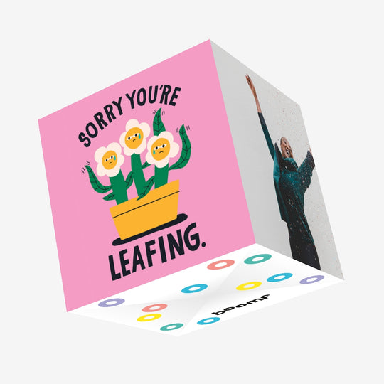 Sorry Your Leafing Confetti-exploding Greetings Card