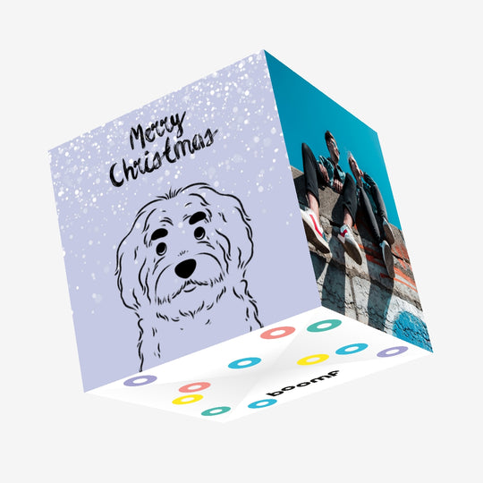 Merry Christmas English Shepherd With Cute Brows Confetti-exploding Greetings Card