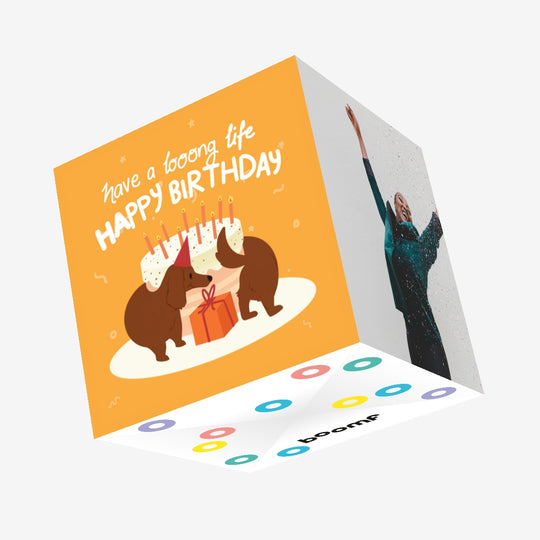 Dachshund And The Cake Birthday Confetti-exploding Greetings Card