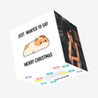 Just Wanted To Say Merry Christmas Cute Hamster Confetti-exploding Greetings Card