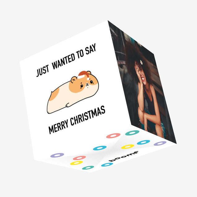 Just Wanted To Say Merry Christmas Cute Hamster Confetti-exploding Greetings Card