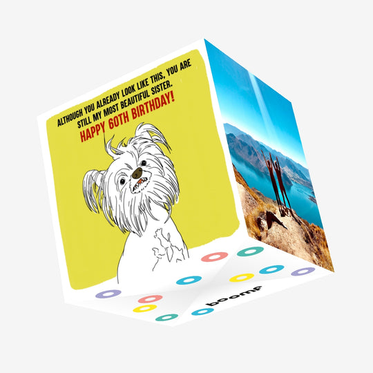 Funny Dog Happy 60th Birthday Sister Confetti-exploding Greetings Card