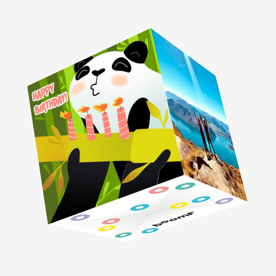 Green Bamboo Background Panda Happy Birthday Confetti-exploding Greetings Card