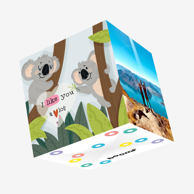 I Like You A Lot Cute Koalas Valentine's Day Confetti-exploding Greetings Card