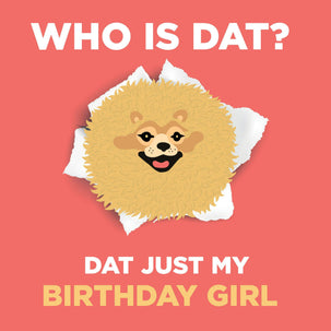 Pomeranian BDay Girl - 1