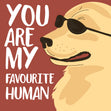 Golden Labrador In Glasses You're My Favourite Human