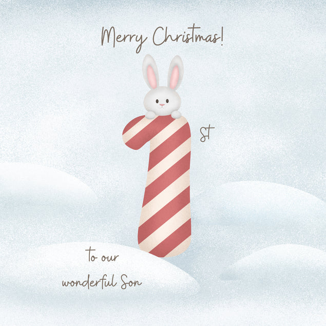 Merry First Christmas To Our Wonderful Son Cute Bunny Season_Christmas Recipient_For Son Seo_First
