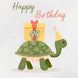 Turtle Happy 99th Birthday