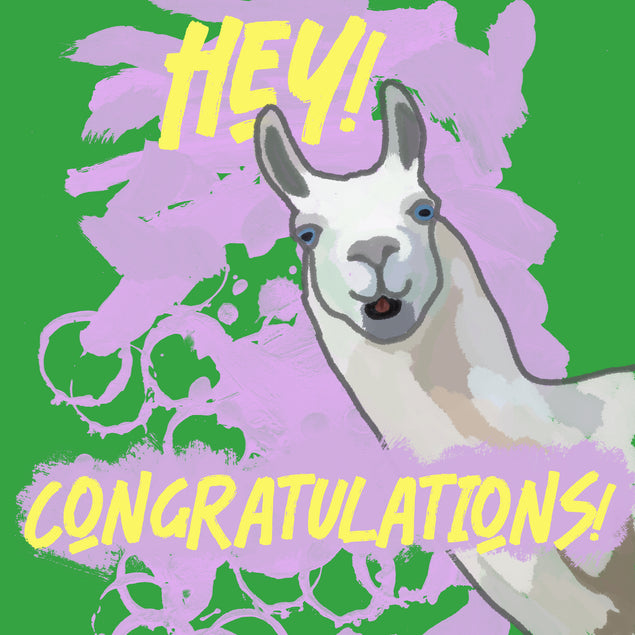 Llama On The Pink And Green Background Congratulations