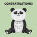 Lovely Smiling Panda In Green Congratulations