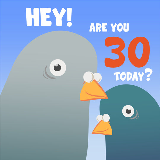 Funny Pigeons Happy 30th Birthday